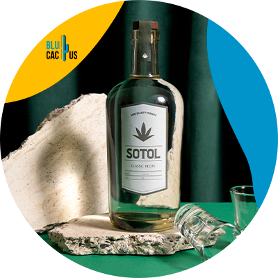 Blucactus Mexico - ¿Cómo hacer una etiqueta profesional para una botella de tequila?