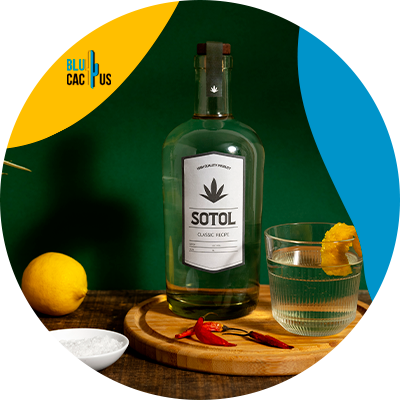 Blucactus Mexico - ¿Cómo hacer una etiqueta profesional para una botella de tequila?