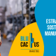 Blucactus Mexico - Estrategias de marketing sostenible que el sector manufacturero debe saber - portada