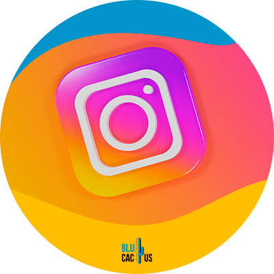 Blucactus Mexico - Instagram para el sector manufacturero: ¿Cómo sacar el mayor provecho de esta plataforma social?