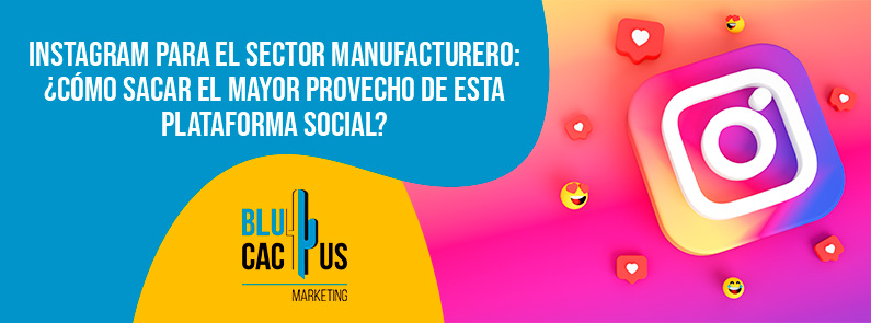 Blucactus Mexico - Instagram para el sector manufacturero: ¿Cómo sacar el mayor provecho de esta plataforma social? - portada