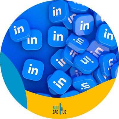 Blucactus Mexico - ¿Las empresas de giro industrial pueden utilizar LinkedIn para llegar a clientes potenciales?