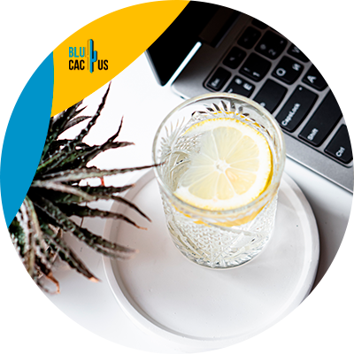 Blucactus Mexico - ¿Qué es un sitio web y su importancia para las marcas de tequila?