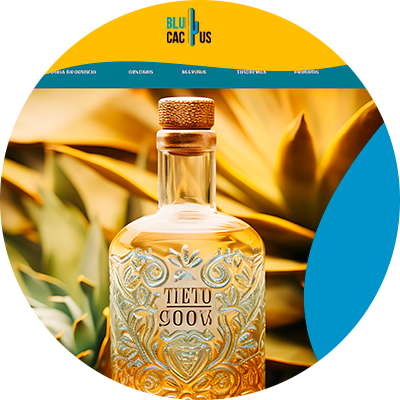 Blucactus Mexico - ¿Qué es un sitio web y su importancia para las marcas de tequila?