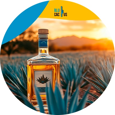 Blucactus Mexico - ¿Qué es un sitio web y su importancia para las marcas de tequila?