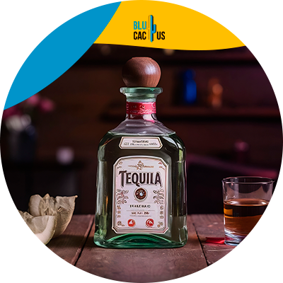 Blucactus Mexico - ¿Qué es un sitio web y su importancia para las marcas de tequila?