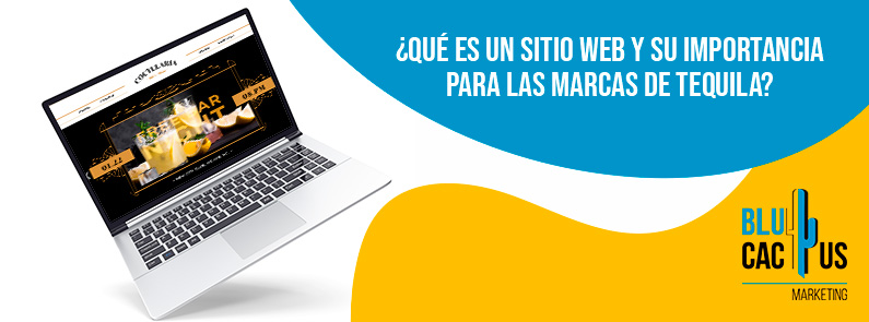 Blucactus Mexico - ¿Qué es un sitio web y su importancia para las marcas de tequila? - portada