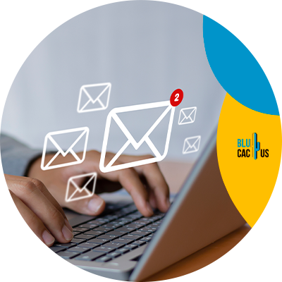 ¿Cómo hacer un buen email marketing para productores de whisky? | BluCactus México