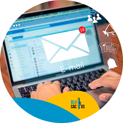¿Cómo hacer un buen email marketing para productores de whisky? | BluCactus México