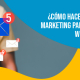 Blucactus Mexico - ¿Cómo hacer un buen email marketing para productores de whisky? - portada