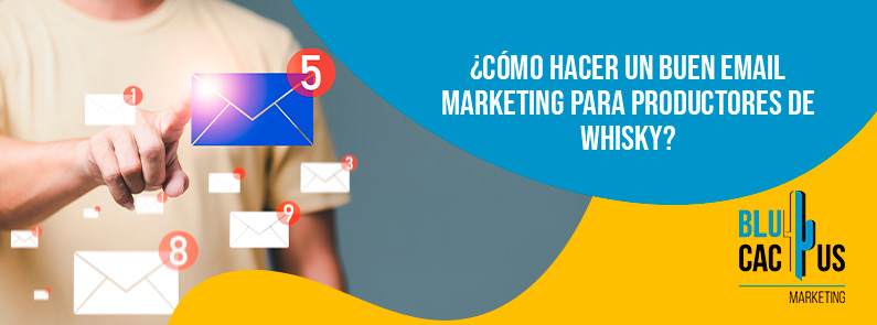 Blucactus Mexico - ¿Cómo hacer un buen email marketing para productores de whisky? - portada
