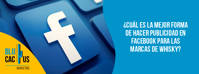 Blucactus Mexico - Hacer publicidad en Facebook para las marcas de whisky - portada