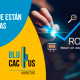Blucactus Mexico - 5 errores comunes que están afectando tu ROAS - portada