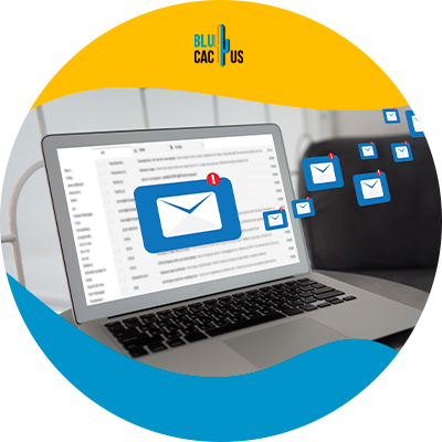 Guía definitiva para crear una campaña de correo electrónico frío en el sector B2B | BluCactus México