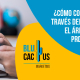 Blucactus Mexico - Cómo conseguir clientes a través del email en frío para el área de servicios profesionales