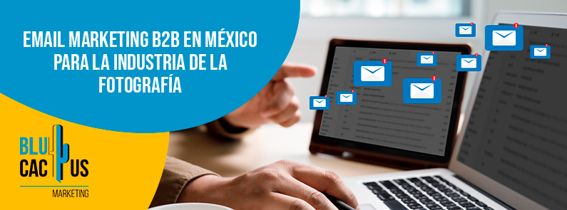 Blucactus-Email marketing B2B en México para la industria de la fotografía-portada Blucactus Mexico - Email marketing B2B en México para la industria de la fotografía