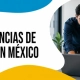 Equipo de especialistas en México revisando resultados de campañas de Google Ads para un artículo de BluCactus Mexico.